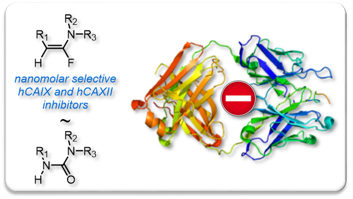 2018 JEIMC hCA inhibitors