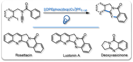 2018 Synthesis Rosettacine Luotonine A Deoxyvasicinone