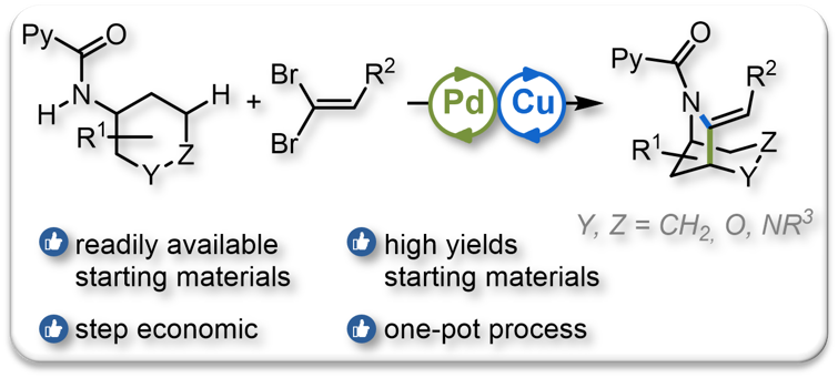 2021 ACIE Tandem Catalysis Pd Cu