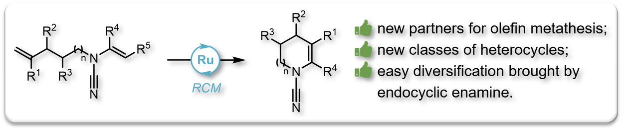 2021 Org Chem Front RCM N Alkenylcyanamides