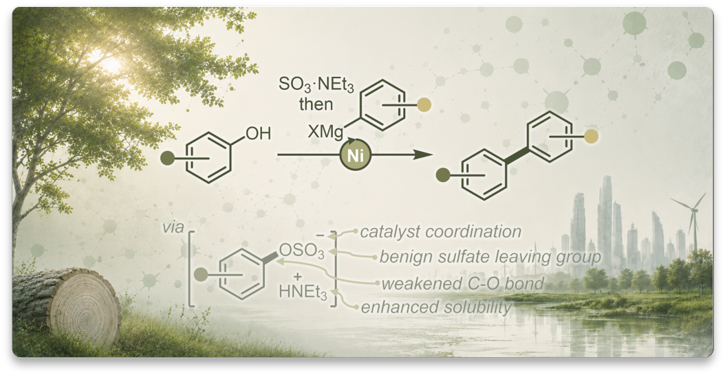 2026 Direct Cross Coupling Phenols