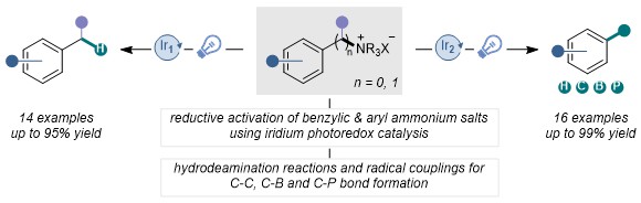 Synlett_Ammonium.jpg