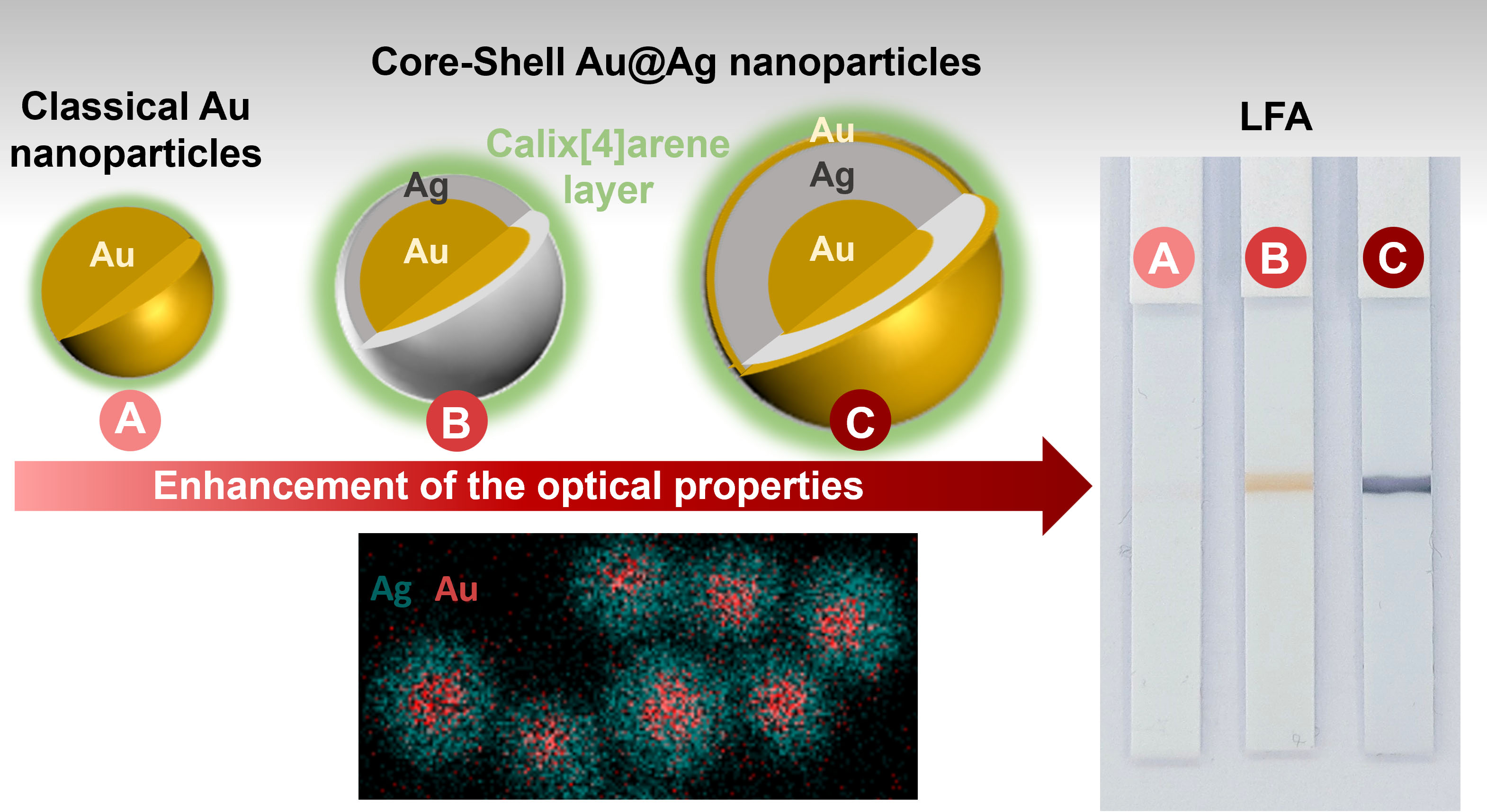 TOC ACS Applied nano 2024