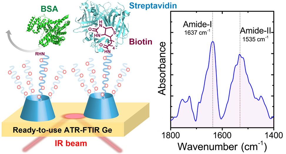 TOC Langmuir 2