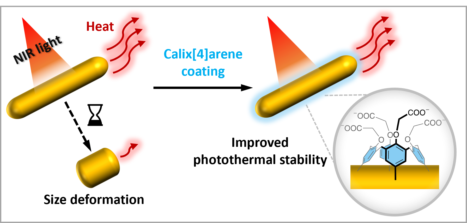 TOC Nanoscale 2024