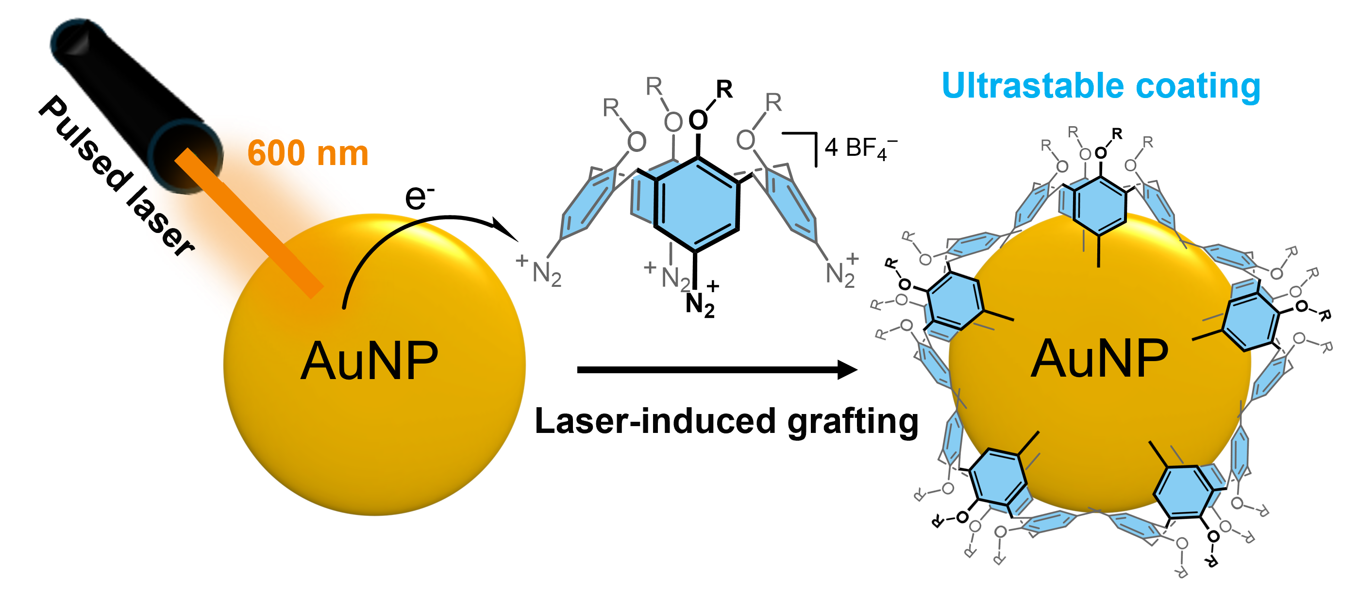 TOC RSC Interfaces 2025