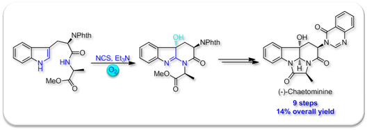 synthesis_2009_chaetominine